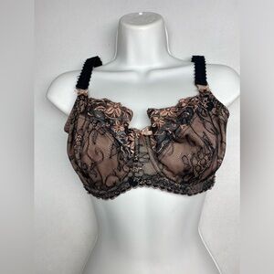 Fantasie Black and Brown Lace Bra